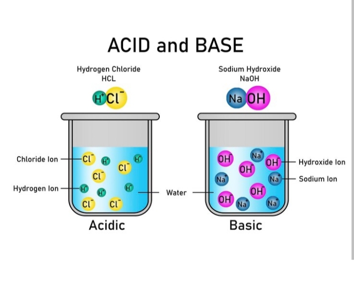 The best acid and base 2024